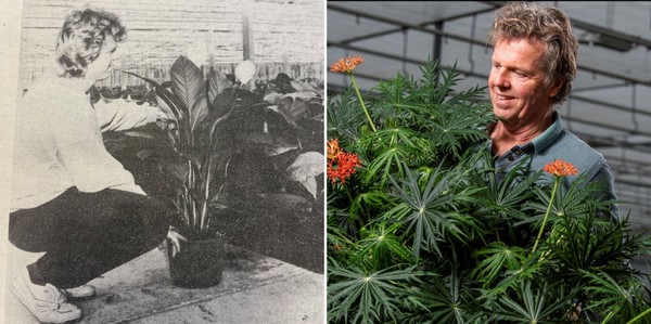 bpnieuws's tweet photo. Richplant viert 40-jarig jubileum - @Richplant
https://t.co/h4MaFfuA4o https://t.co/UPZYHYjjiz
