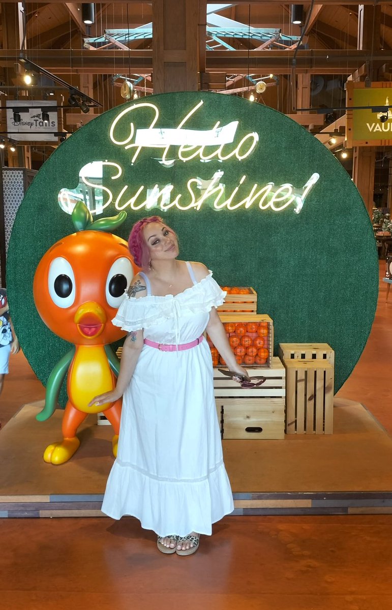 SarahnSquirrel's tweet photo. Yes. Yes. I love Orange bird now. https://t.co/9E9sWbpBqI