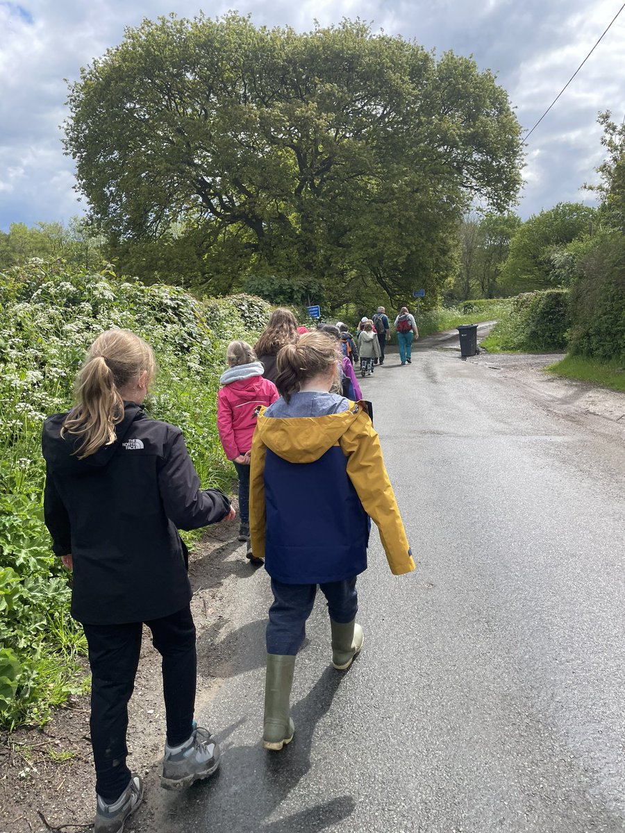 Off on our Bulkeley Hill walk and the sun is out.