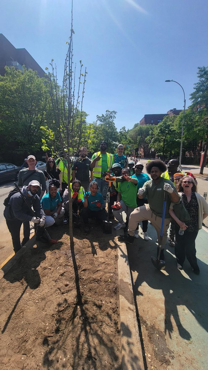 voteshekar's tweet photo. One 🌳 at a time, we work to protect our climate. 

As we planted trees on #34AveOpenStreets, people walked up to thank the @thehort team for their hard work in creating more tree canopy and shade for our community. https://t.co/mIcWHkYPiP