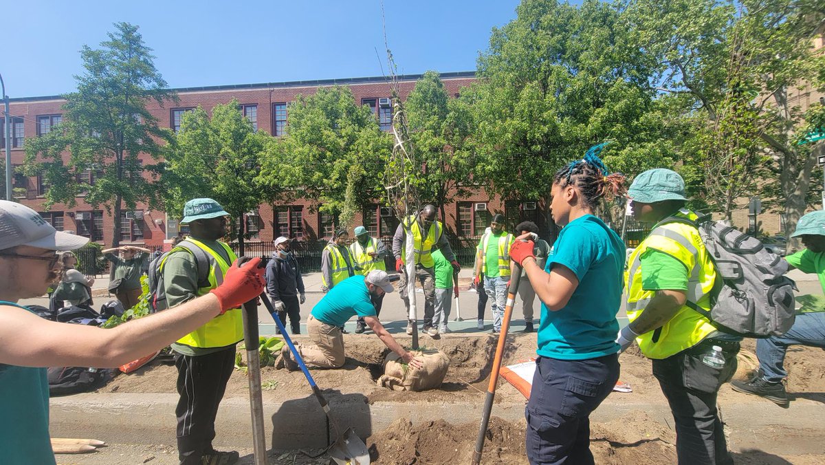 voteshekar's tweet photo. One 🌳 at a time, we work to protect our climate. 

As we planted trees on #34AveOpenStreets, people walked up to thank the @thehort team for their hard work in creating more tree canopy and shade for our community. https://t.co/mIcWHkYPiP