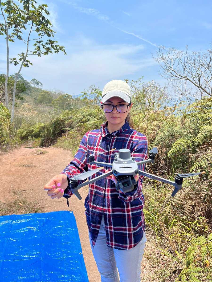 yoro_corridor's tweet photo. The star drone pilot 🤩

#forestprotection #YoroBiologicalCorridor https://t.co/NBySAR4ytK