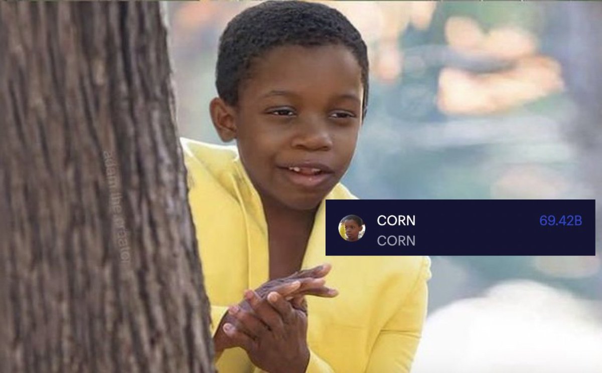CORN COIN 🌽 🌽 tweet media