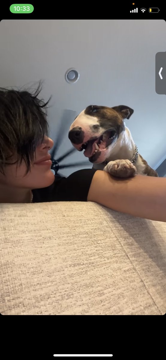 champripley1's tweet photo. RHEA IS SO CUTE STOP RNNN😭🦋🖤 @RheaRipley_WWE @RheaRipley_WWE #fypage #fypシviral #fypシviral #like #share #champ #dogs #ADORBLE #MAMI #RheaRipley #rhearipley #fypp THIS PHOTO MAKES MY HEART I SWEAR I LOVE THEM <333 https://t.co/HFYgs54oQX