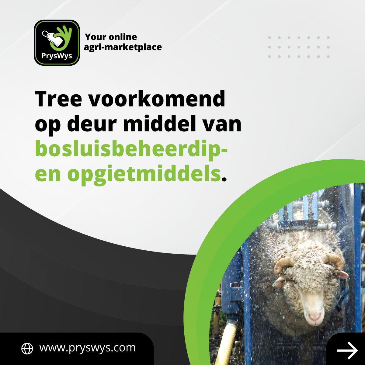TeamSwiftVEE's tweet image. Tree voorkomend op deur middel van bosluisbeheerdip- en opgietmiddels.

Kry nou ‘n kwotasie op PrysWys.

Laai die app gratis af op die Apple store: ow.ly/Ticc50JA84M

Laai die app gratis af op Google Play: ow.ly/9oo550JA84Q

#PrysWys #agriculture #inputprices