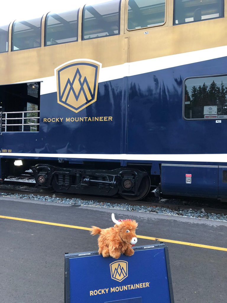 HCA East of Scotland tweet media