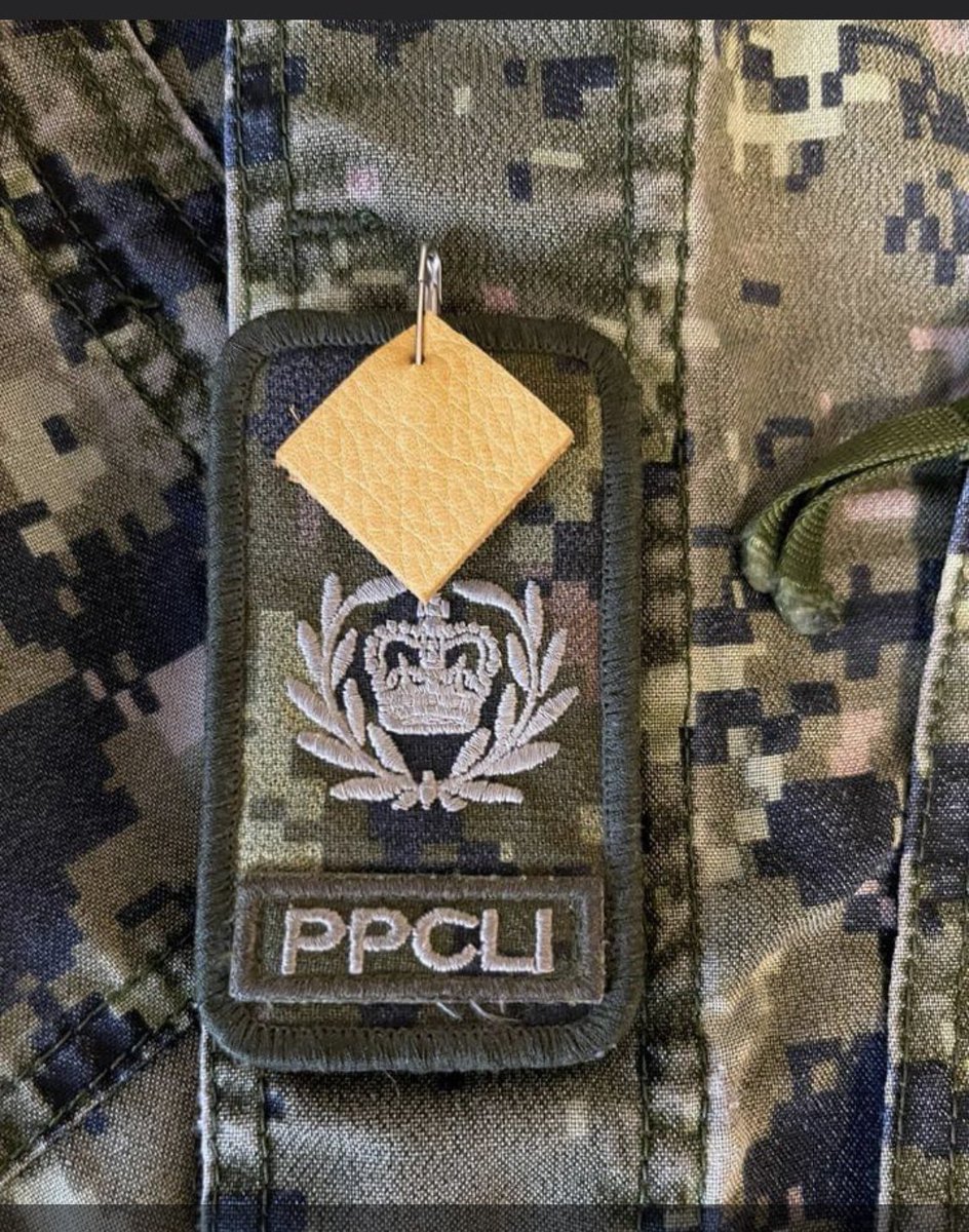 SQuinn459's tweet photo. Today, thousands of members across the Defence Team will be wearing the moose hide pin in honour of the Moose Hide Campaign. Many of those will also be fasting. #moosehidecampaign #MooseHideCampaignDay #endtheviolence #canadianarmy #canadianarmedforces https://t.co/gIDrH5Tt2i