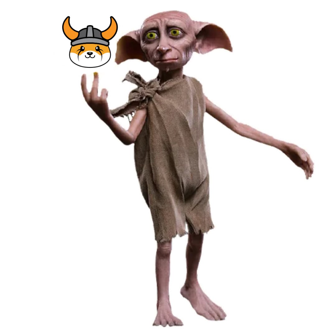 FLOKI's tweet photo. Dobby found a new master

Dobby loves #FLOKI 🥰 https://t.co/pjdtDvhOyi