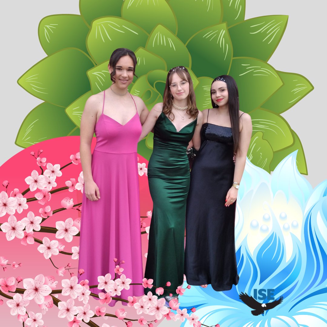 ise_usa's tweet image. Tis the Season!  Prom time is upon us and every high school in the country is having one in April and May.  We are happy to share another great memory with you!
.
#iseusa #promtime #prom #studentexchange #exchangestudent