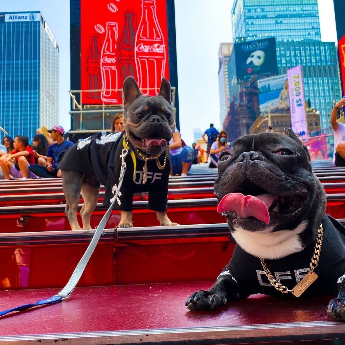 TSXBroadway tweet media