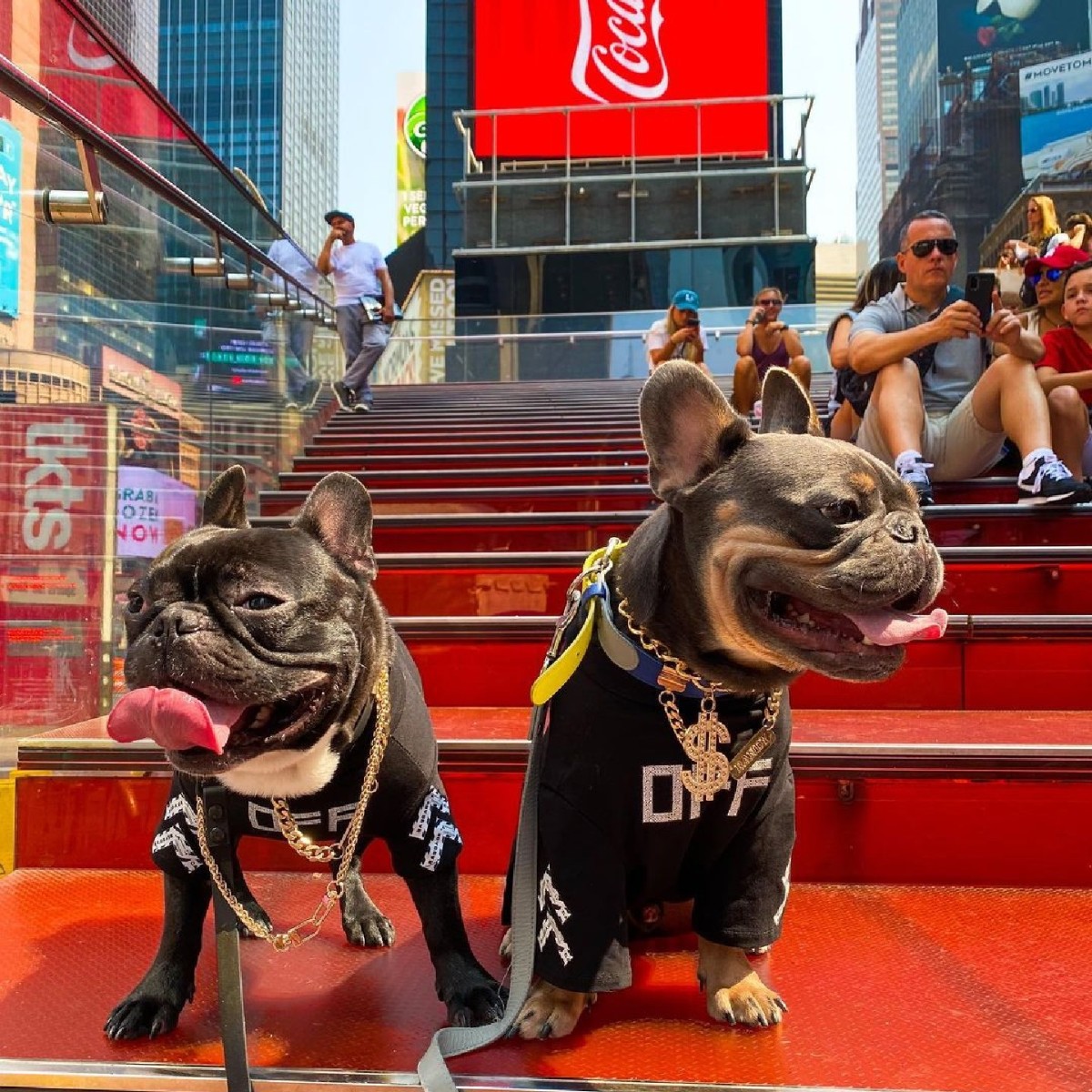 TSXBroadway tweet media