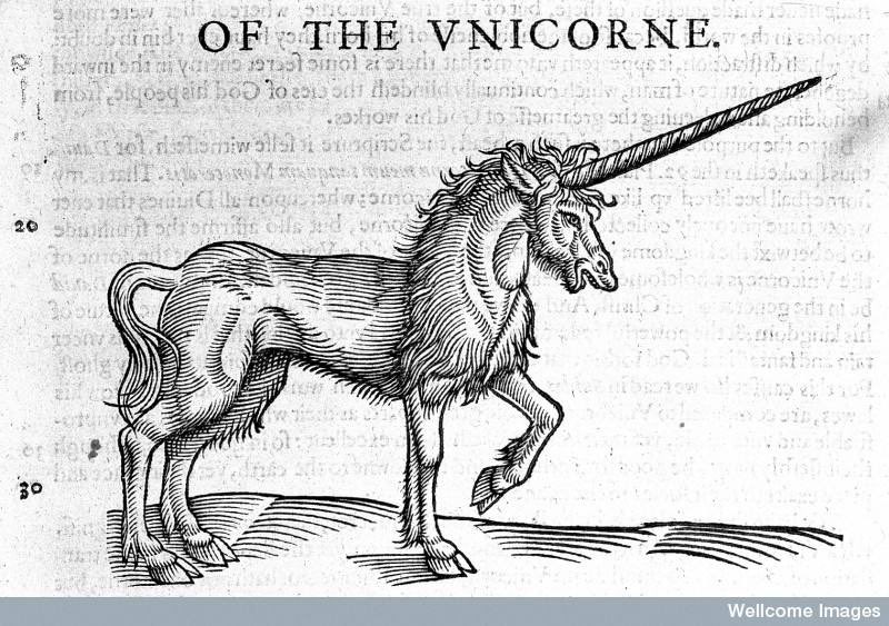 9 on Twitter "Q was like Do UNICORNS exist?"