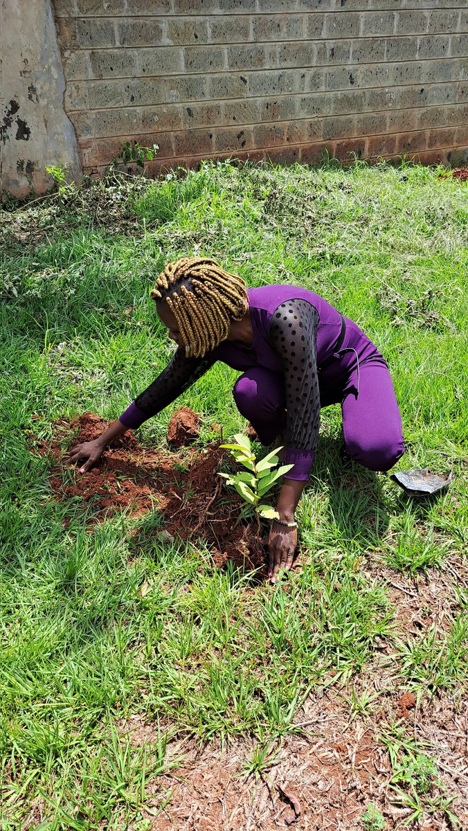 PaulineOwiti's tweet photo. Part of the programme of YALI RLC EAST AFRICA Homecoming event was a tree planting session.
Just as Nelson Henderson ones said "The true meaning of life is to plant trees, under whose shade you do not expect to sit."
#FaceOutEcosystemImbalance
#OurSharedWorld
#YALIhomecoming2023 https://t.co/GDvumMZdcr