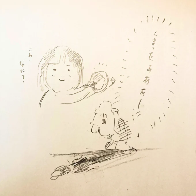 アマゾンで腹筋ローラー買ったのですが、間違って姪っ子に送ってしまいました。 