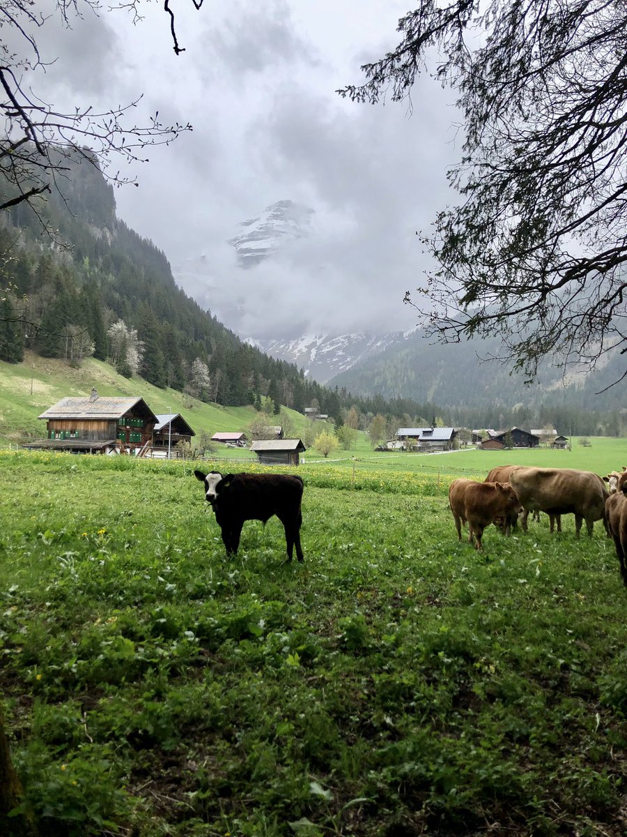 Last day of a fantastic #Parkinsons <a href="/GordonConf/">Gordon Research Conferences</a> in beautiful Switzerland 🇨🇭 
Thanks to @MaluTansey, <a href="/NelsonLabUCSF/">Alexandra Nelson</a> and the rest of the organisers for a great program!