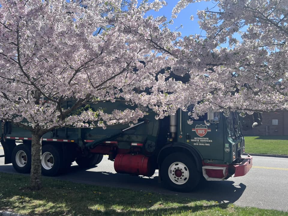 InterstateWaste's tweet photo. You find beauty in the most unexpected of places.
#IWS #interstatewaste #interstatewasteservices #cherryblossoms #seebeautiful #springtime #pictureperfect https://t.co/iF9N9WkXaD
