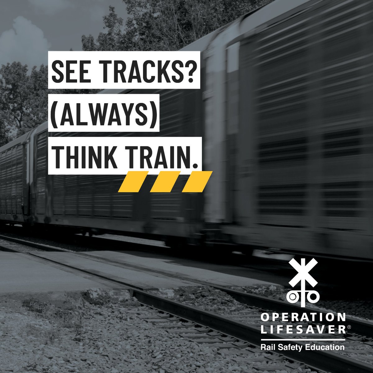 Today is #NationalTrainDay!

Be safe, always expect a train. 

#SeeTracksThinkTrain #RailSafety
