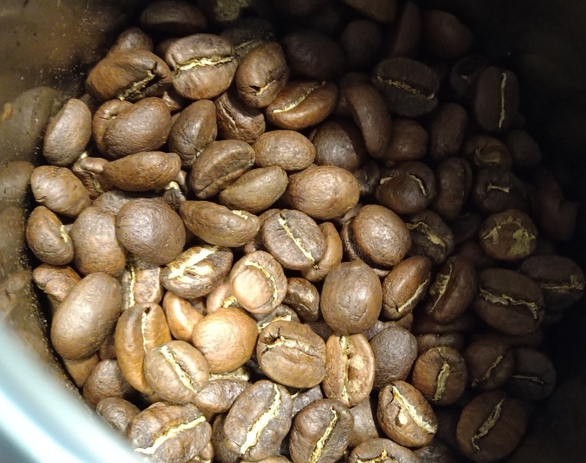 グアテマラアンティグア
小ぶりで今回はサイズのばらつきもあってか煎り具合もバラバラに。。焙煎したてはナッツ感やや強い気も。明後日くらいが楽しみ。
#コーヒー　#自家焙煎