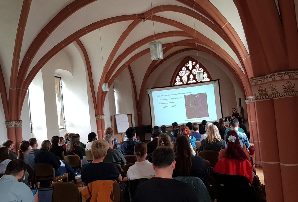 Sarah <a href="/s_vanBoerdonk/">Sarah van Boerdonk 🌱</a> presenting at the IMPRS MPI Cologne her latest results on β-glucan-triggered immunity and fungal counterstrategies in beneficial and detrimental plant-microbe interactions:  biorxiv.org/content/10.110…