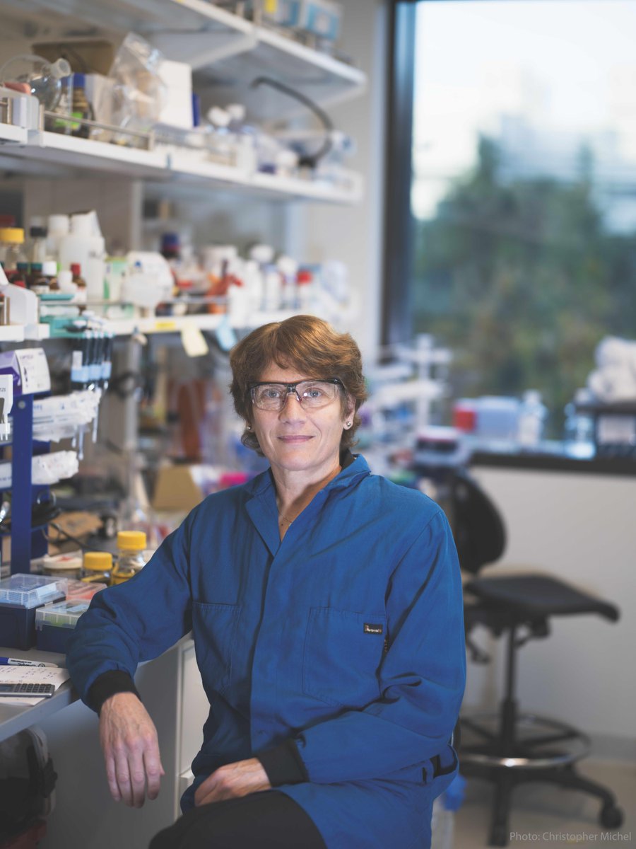 “Your purpose as a scientist is to make discoveries and gift them to humanity. And those discoveries and that knowledge stays with humanity long after you are gone.”

- Carolyn Bertozzi on the scientist's purpose in our new podcast episode

Listen here: shows.acast.com/nobelprizeconv…