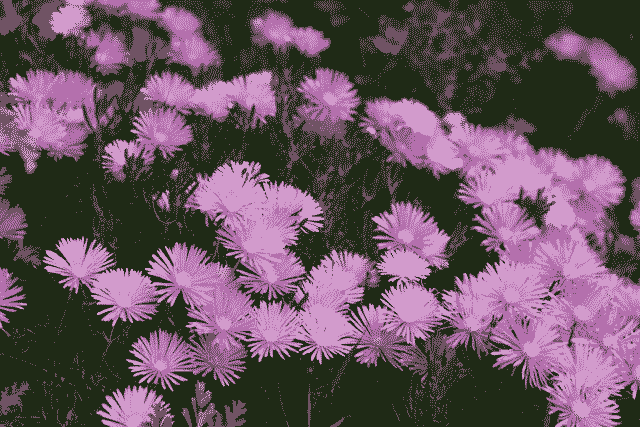 The best inscription deal you will see today 🌺

The beautiful Nature on Bitcoin #4 is on sale for 0.13333 BTC

Inscription #2585 - Available below 👇

ordinalswallet.com/inscription/d2…