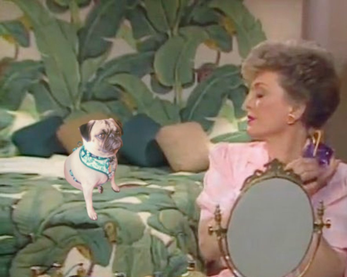 The_Pugess's tweet photo. Gemma meating with Blanche Devereaux to discuss many, many treats.
#puglife #geminipug #goldengirls #retro https://t.co/HBnkpfpT3T