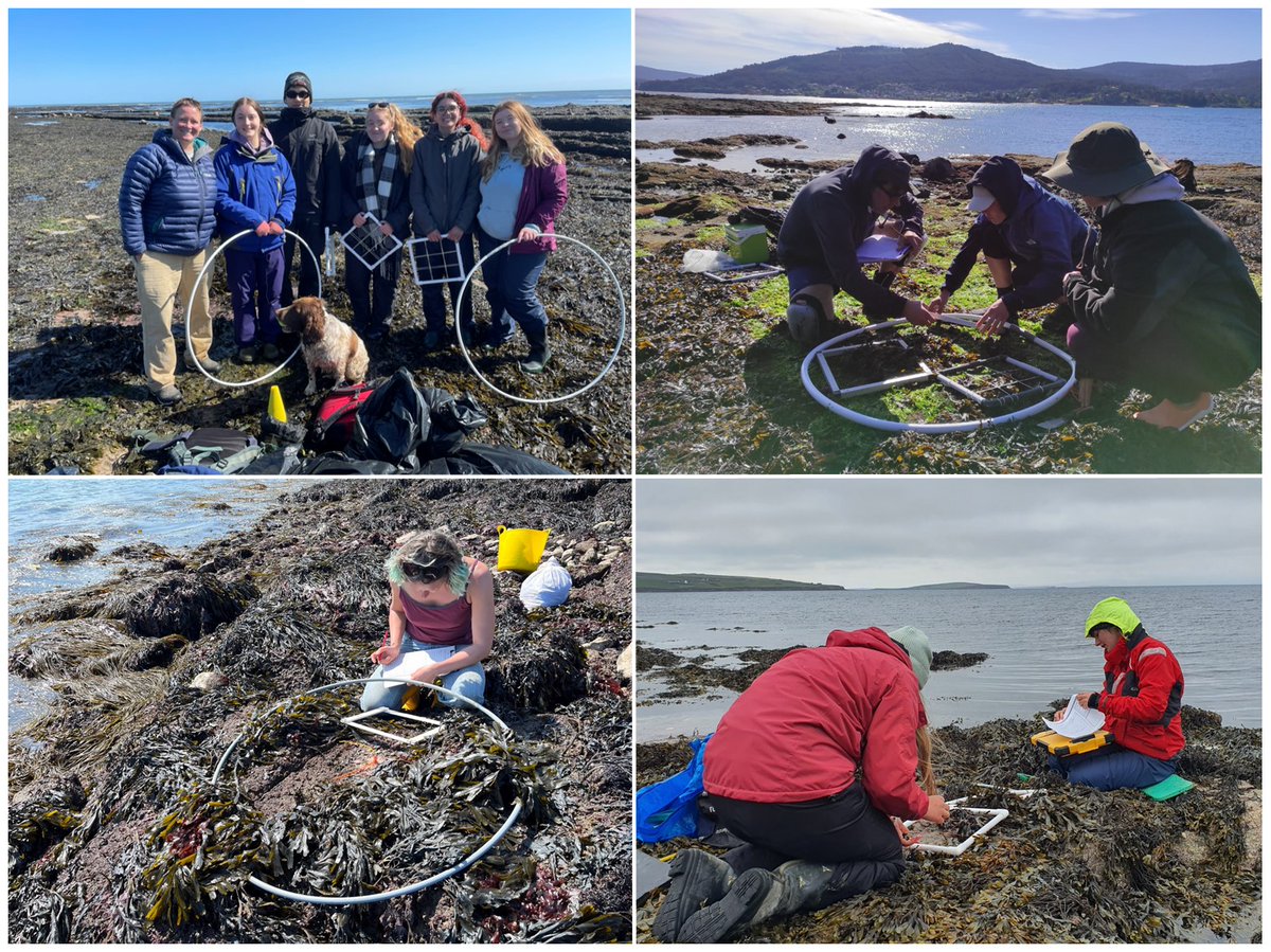 BEF-Scale tweet media