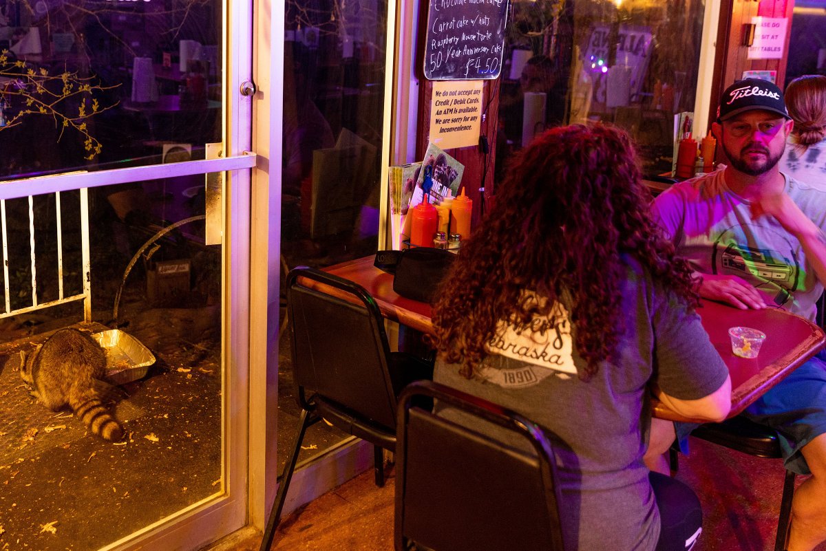 Omaha World-Herald Living on Twitter: "Raccoons ate the bones and the