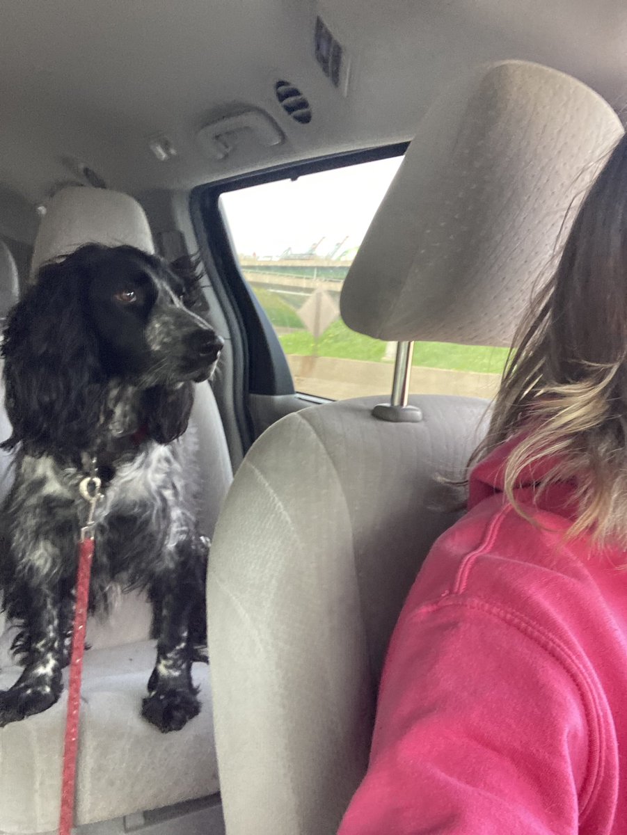 hfxmomability's tweet photo. Jeremy’s 1st Haircut ✂️🥰
#TheBeforePic https://t.co/tPK9mAqrDa