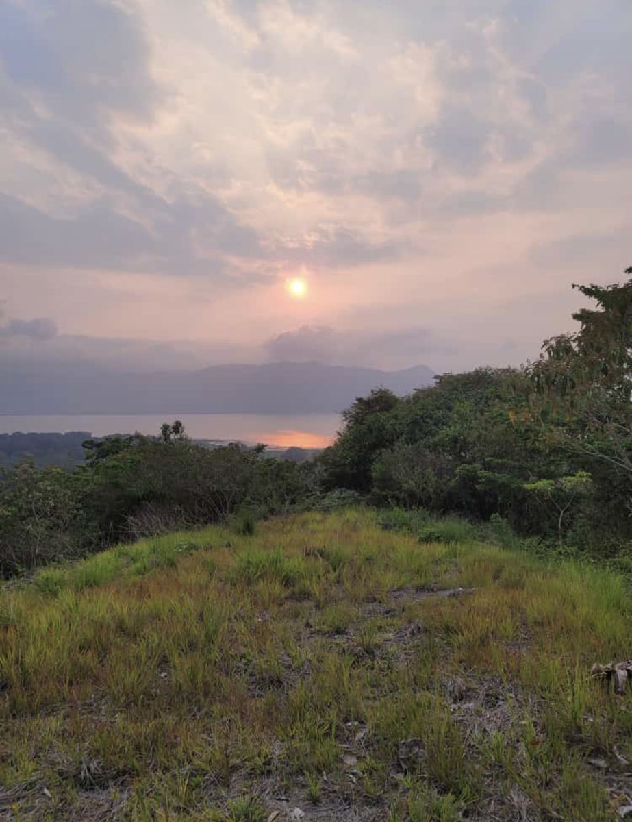 yoro_corridor's tweet photo. Meeting near the beautiful lake 'El Lagonde Yojoa' w/ leaders of the PANCAN communities this week.

Part of the #YoroBiologicalCorridor 🌿 https://t.co/uvBC5vYx3O