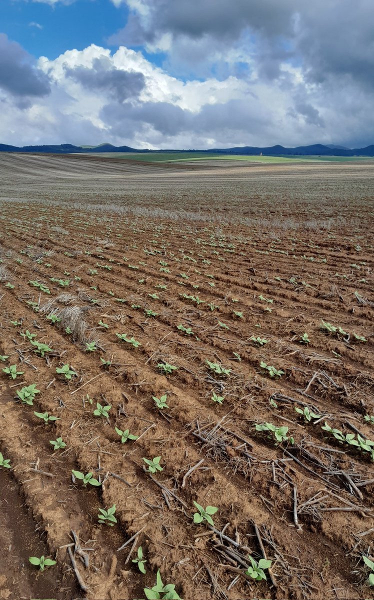 David Jones tweet media