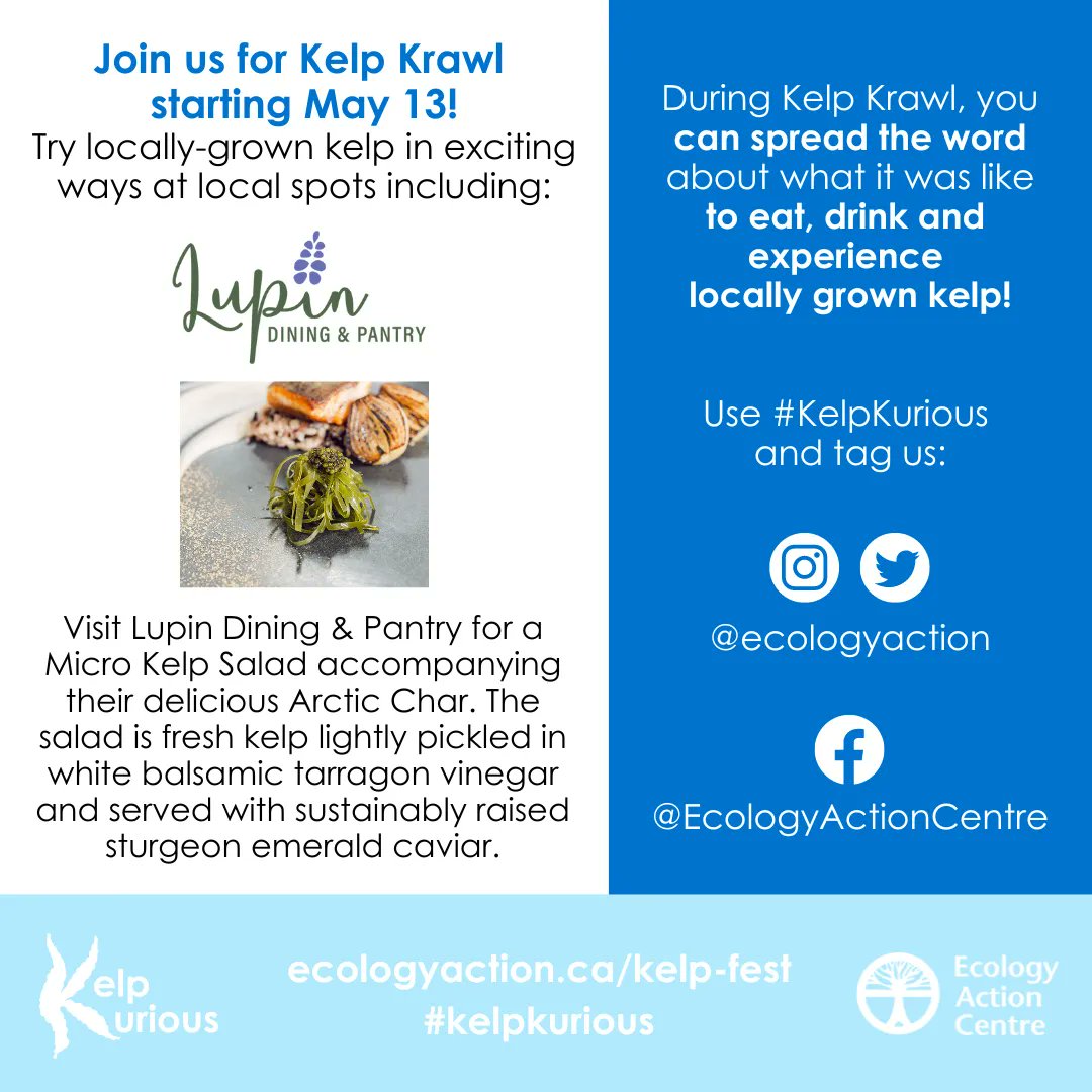 Are you ready to eat, drink &amp; experience kelp on the #KelpKrawl? We’re thrilled to have many restaurants offering kelp in their own style, including Lupin Dining &amp; Pantry! Check out the full list to start making your dining plans!: buff.ly/42MGyKV #KelpKurious