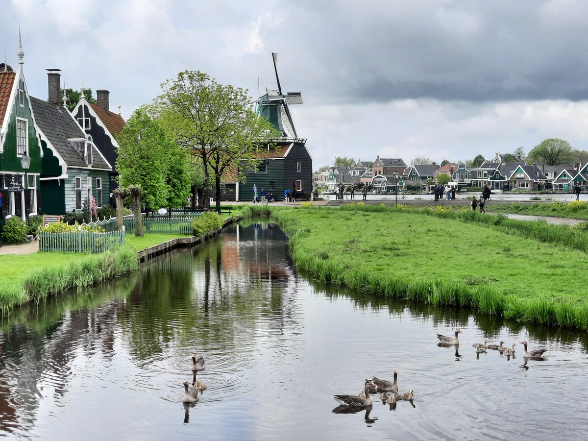A trip to the Zaanse Schans today! It is filled with historic windmills. And we only got caught in the rain once.