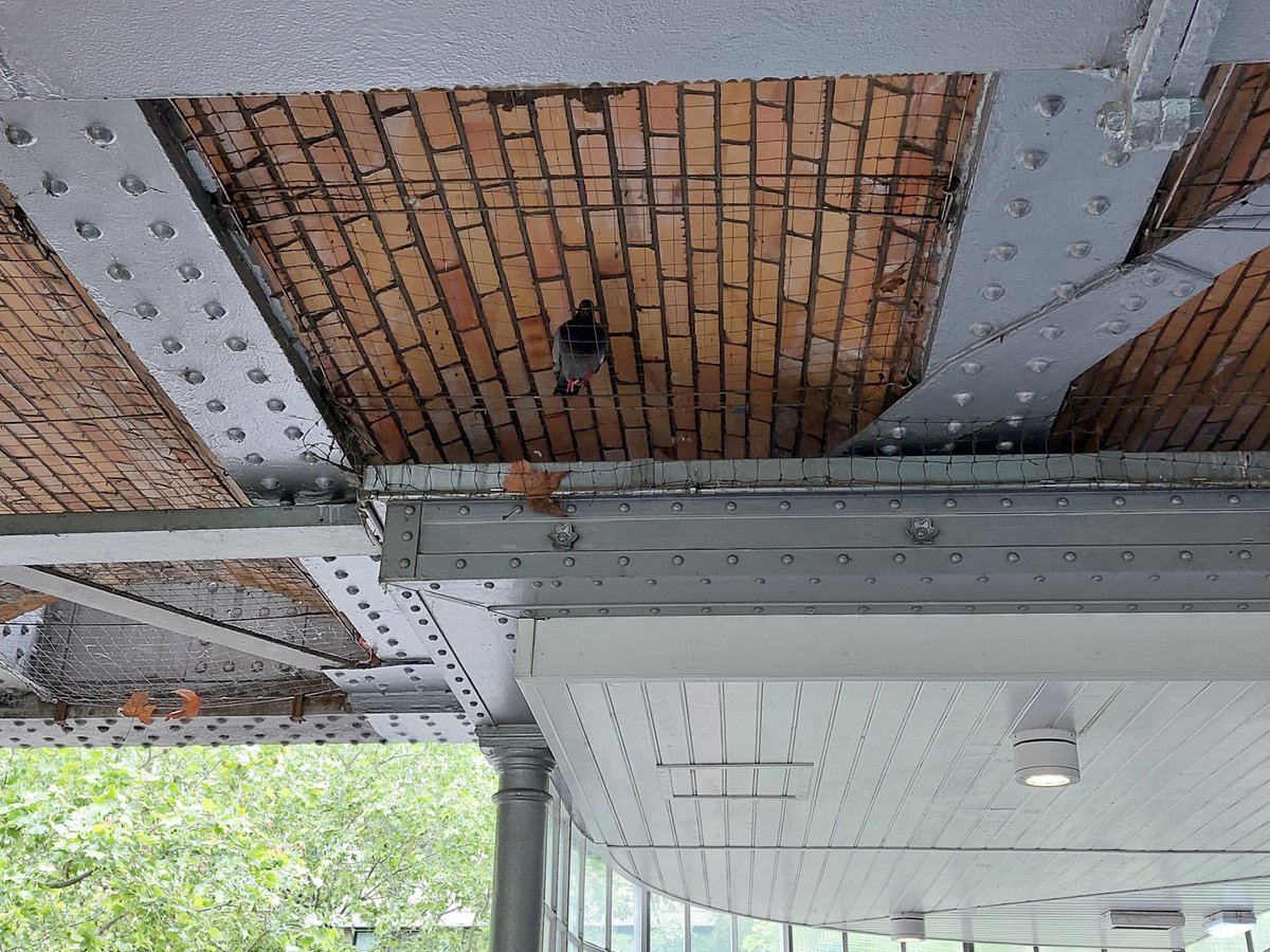 Aujourd'hui, je viens de prendre 3h d'une journée de travail pour transporter un pigeon affaibli à la SPOV de Chatillon. 

Sur le retour, j'aperçois ça sur la ligne M6.

Rappel : l'espace public n'est pas la propriété de l'Homme.

@ParisZoopolis  <a href="/LPO_IledeFrance/">LPO Ile-de-France</a>  <a href="/futur_asso/">FUTUR</a>