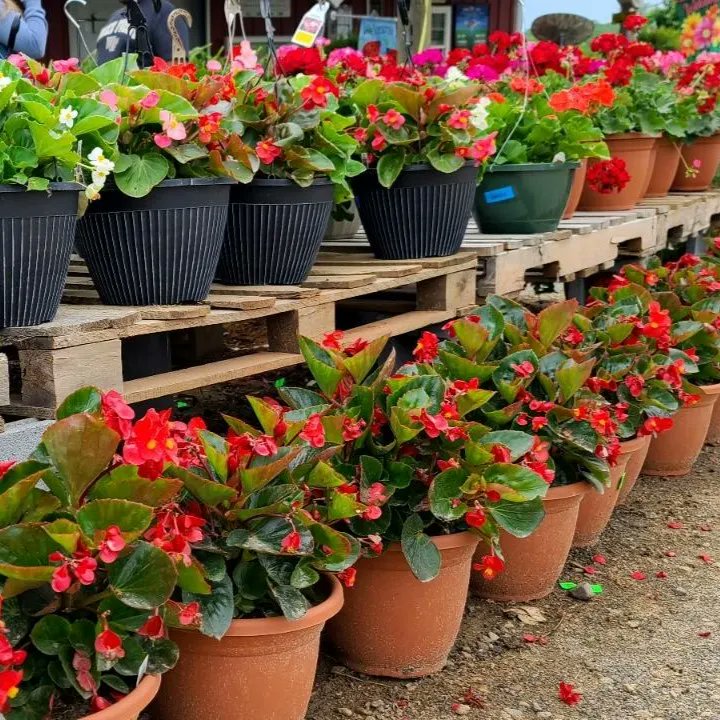 Patterson_Farm's tweet photo. Treat your mom to something special with a Motherβs Day gift from Patterson Farm!
https://t.co/YMXlG0NVfH
#PattersonFarm #VisitNCFarms #VisitPattersonFarm #MothersDay https://t.co/fILefXn0MY