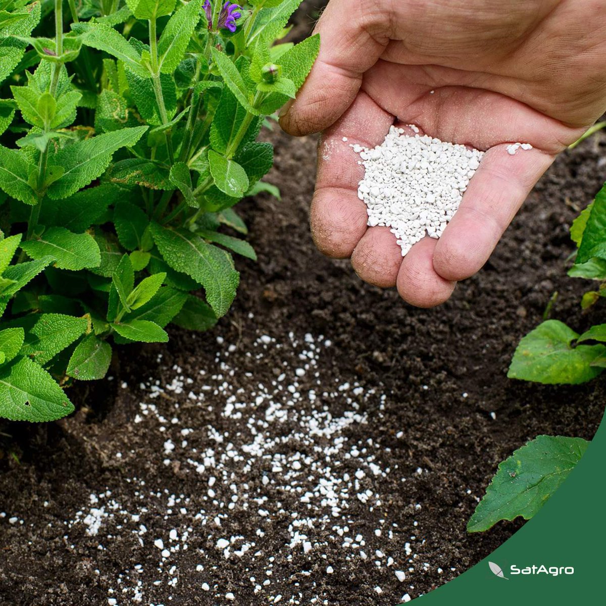 [3/3] Więcej o naszej nowej funkcjonalności, która pomaga polskim rolnikom dostosować się do obowiązujących Ekoschematów🇪🇺 przeczytacie w artykule na <a href="/mdf_pl/">maszynydlafarmera.pl</a> maszynydlafarmera.pl🔍

maszynydlafarmera.pl/nowosc-satagro…

Zapraszamy do Lektury!👍
#SatAgro Team💚