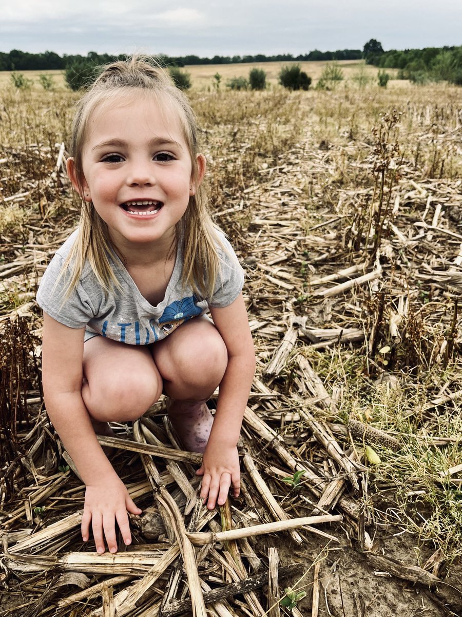 My “intern” is excited about newly emerged ⁦<a href="/InVISION_HiSOY/">FSInVISION_FSHiSOY</a>⁩ beans at the Trover Farms plot just South of New Burnside IL on US Rte 45 ⁦<a href="/Southern_fs_inc/">Southern FS</a>⁩