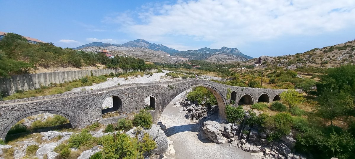 norina di blasio tweet media