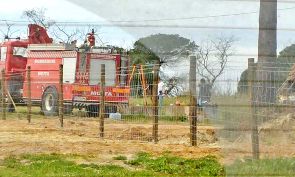 jornalonline_pt's tweet image. Três homens e uma mulher foram detidos por suspeita de envolvimento na morte de um homem de 62 anos, cujo corpo foi encontrado em março num poço na Moita, anunciou hoje a Polícia Judiciária (PJ). ... | #CRIME #MOITA #POLÍCIAJUDICIÁRIA #REGIÕES #SETÚBAL

jornalonline.pt/detidos-quatro…