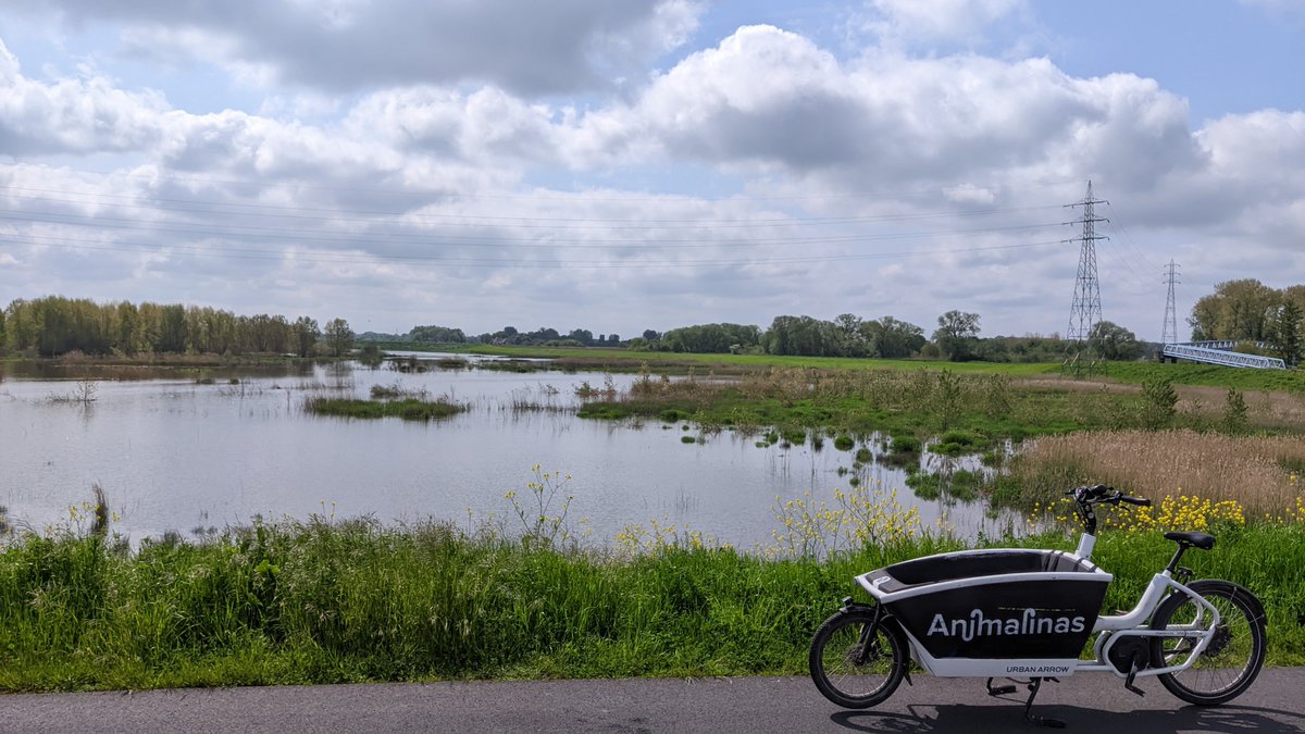 Michaël Van  Rompaey tweet media