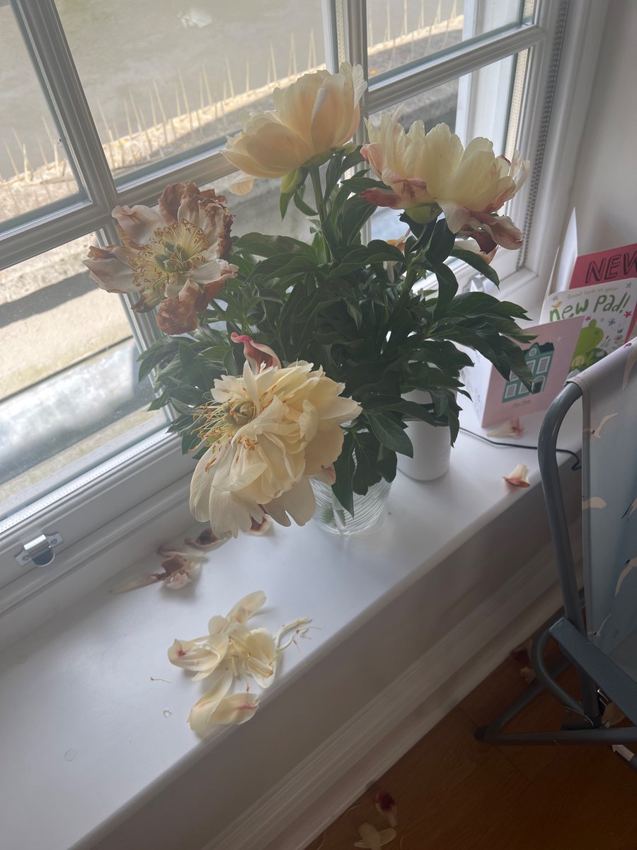 BeckyAnneGreen's tweet photo. @marksandspencer disappointed in these flowers from your Chiswick store, only bought on Sunday and by yesterday evening they looked like this: https://t.co/cI9TX0Y9jQ