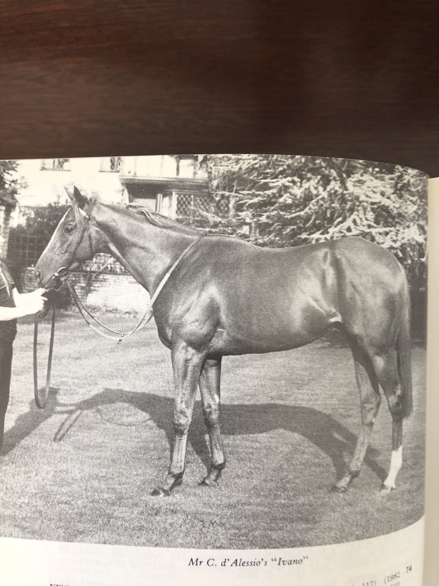 EdwardDalby1's tweet photo. Dee stakes memories- on this day in 1982 I had just finished my GPRI examinations at the NRCT and made it back to halls in time to watch Ivano. 😄#justlikeyesterday https://t.co/Jd37n2qdFQ