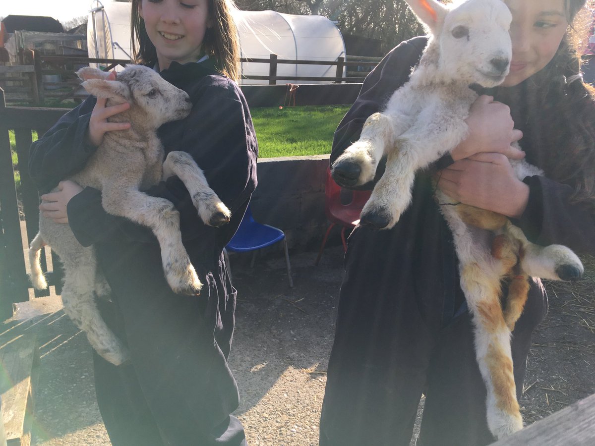 Edwalton Primary tweet media