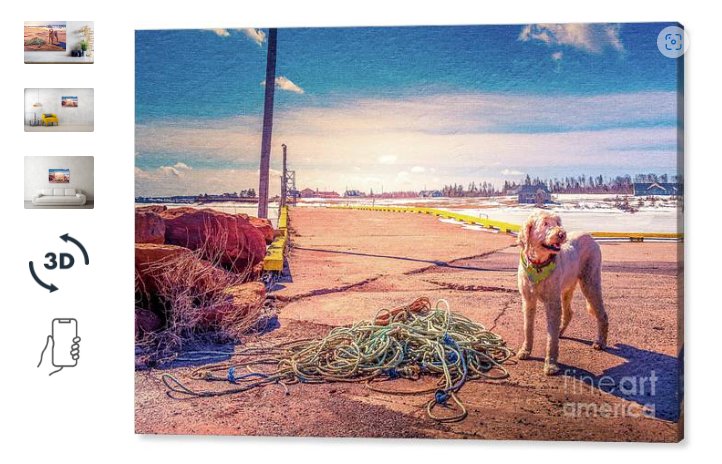 RedTruckPro's tweet photo. Dockside sun PEI. Check out this new canvas print that I uploaded to https://t.co/iOrXBIFBT6! https://t.co/X8Dql0A50T #wallartforsale #homedecor #artvsartisit2023 #eastcoast #PEI #eastcoastart #northrustico #BuyIntoArt #AYearForArt #explorepei #getoutside https://t.co/8t0asJA09U