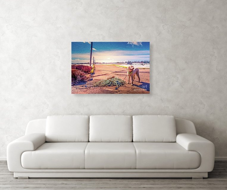 RedTruckPro's tweet photo. Dockside sun PEI. Check out this new canvas print that I uploaded to https://t.co/iOrXBIFBT6! https://t.co/X8Dql0A50T #wallartforsale #homedecor #artvsartisit2023 #eastcoast #PEI #eastcoastart #northrustico #BuyIntoArt #AYearForArt #explorepei #getoutside https://t.co/8t0asJA09U