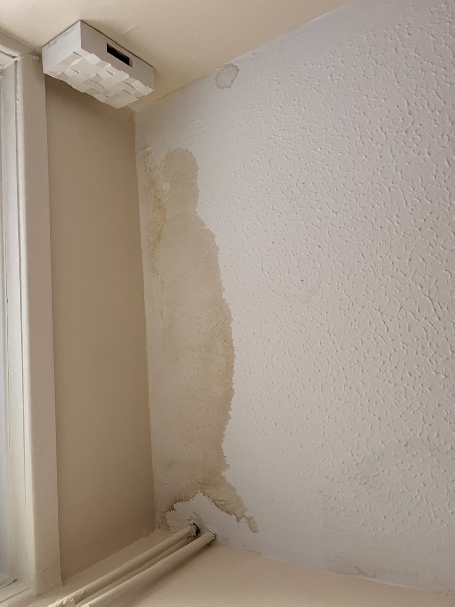 Ejonesj's tweet photo. @PinnacleSF I stupidly thought you’d be better than the shit show Amey was clearly I was wrong! Water coming through the electrics in the downstairs toilets constantly dripping floor is soaked it’s spreading to the hallway roof now too! (1) https://t.co/CZr9nfqujD