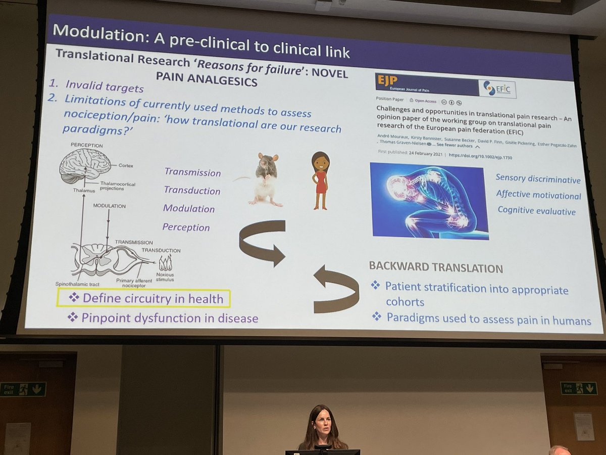 Samhja's tweet image. @BritishPainSoc #BPSASM2023 
Prof Kirsty Bannister @bannister_lab presenting the prestigious Patrick Wall Lecture. Topic: Top-down control of pain in health and disease: from bedside to bench. Superb demonstration of clinical and lab work going hand in hand!