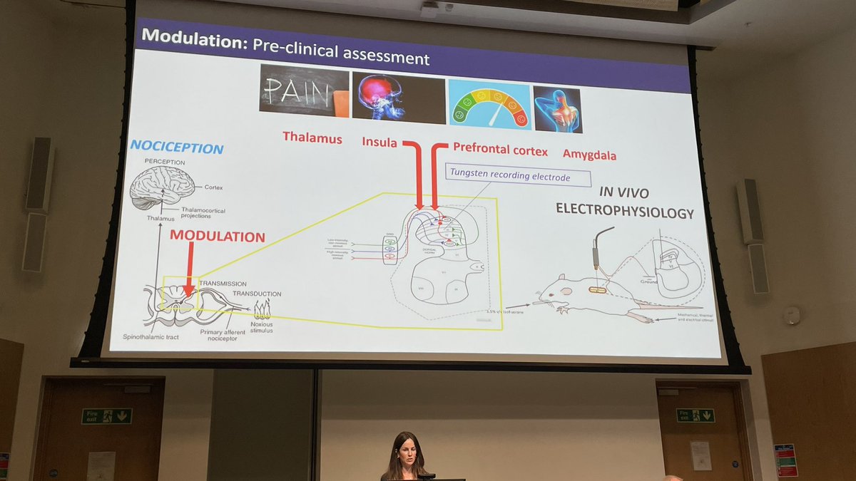 Samhja's tweet image. @BritishPainSoc #BPSASM2023 
Prof Kirsty Bannister @bannister_lab presenting the prestigious Patrick Wall Lecture. Topic: Top-down control of pain in health and disease: from bedside to bench. Superb demonstration of clinical and lab work going hand in hand!