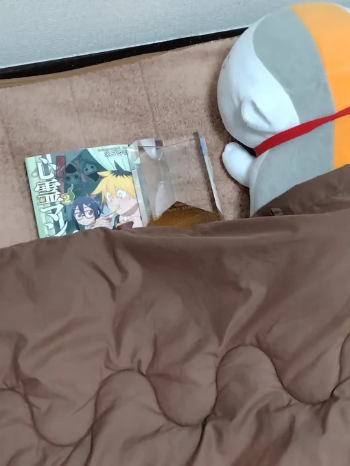 トロフィー君風邪ひくといけないから暖かくして寝ましょうね〜。