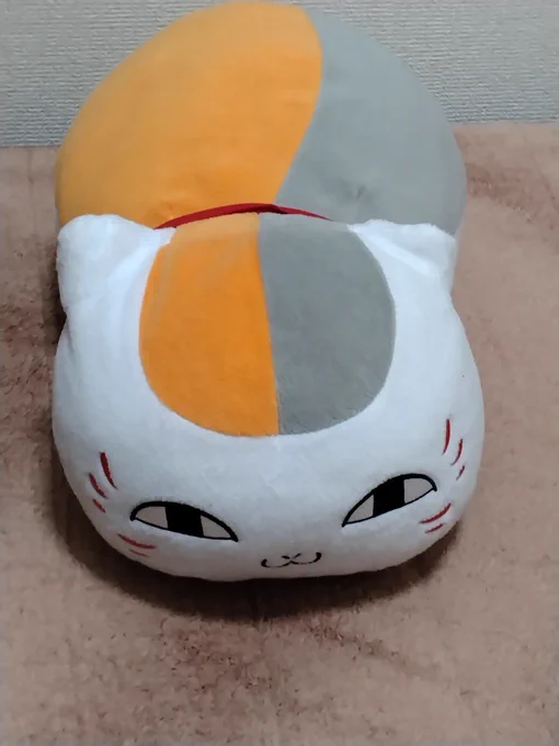 トロフィー君風邪ひくといけないから暖かくして寝ましょうね〜。